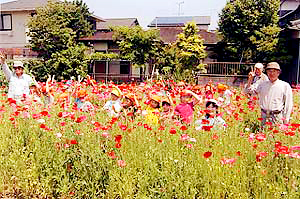 5月 ポピー園へ花見にでかけたよ！